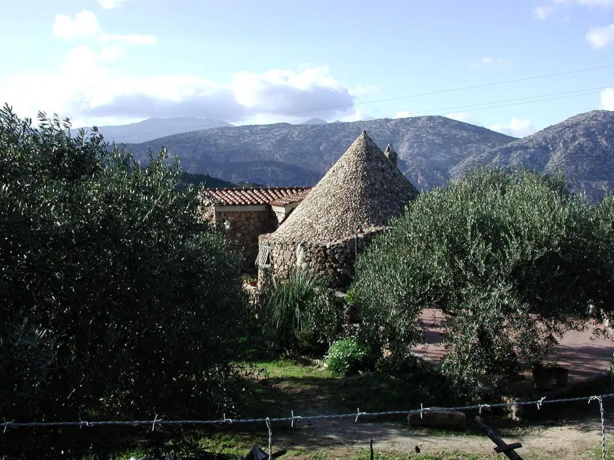 Casa In Campagna Hotel Dorgali Exterior foto